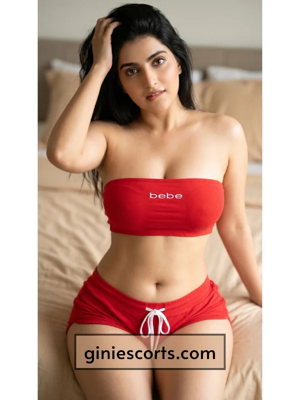 High Class Escort in Chandigarh Zoya